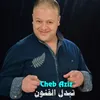 About تبدل القنون Song