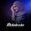 About Mehabooba Song