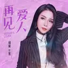 About 再见爱人 Song