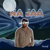 About Na Jaa Song
