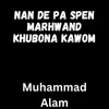 Nan De Pa Spen Marhwand Khubona Kawom