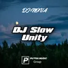 About Dj Unity Slow ( Fvnky Night ) Song