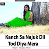 About Kanch Sa Najuk Dil Tod Diya Mera Song