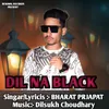 About Dil Na Black Song