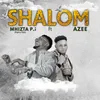 About Shalom Song