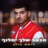 About הכאב שלך יחלוף Song