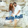 About Mallo Malli Song