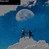 About Fake Trip Song