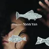 About הכל מהכל Song