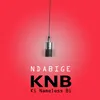 Ndabige