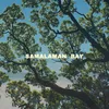 About Samalaman Bay Song