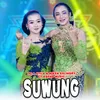 About Suwung Song
