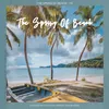 About The Spring Of Beach Song