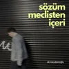 About Sözüm Meclisten İçeri Song