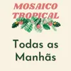 Todas A Manhãs