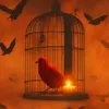 About Bird in a Cage Song