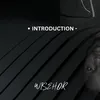 About INTRODUCTION Song