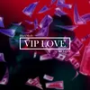 About VIP LOVE Song
