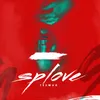 About Splove Song