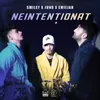 About Neintentionat. Song