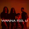 About Wanna Feel U Song