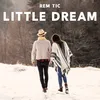 About Little Dream Song