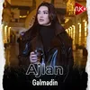 About Gəlmədin Song