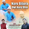About Naru Bijola Dwi Hola Bhai Song