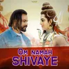 About OM NAMAH SHIVAYE Song