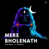 About Mere Bholenath Song