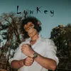 About LowKey Song