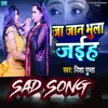 About Jaa Jaan Bhula Jaih Song