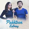 About Pakhtoon Zalmay Song