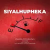 About Siyalhupheka Song