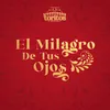 About El Milagro De Tus Ojos Song