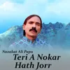 About Teri A Nokar Hath Jorr Song