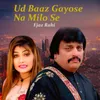 About Ud Baaz Gayose Na Milo Se Song