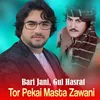 Tor Pekai Masta Zawani