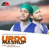 About Urdu Mashup 2023 Song