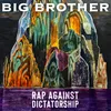 About Big Brother Song