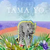 About Tama Yo Song