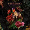 About Primavera Song