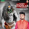 About Mera Shiv Shankar Avinashi Ha Song