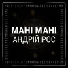 About Мані мані Song