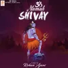 About Om Namah Shivay Song