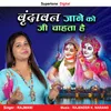 About Vrindavan Jane Ko Ji Chahta Hai Song