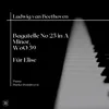 About Bagatelle in A Minor, WoO 59, No. 25 "Für Elise" Song