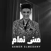 About مش تمام Song