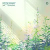 About Rosemary Song