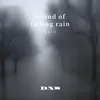 Sound of falling rain